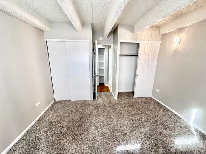 Bright and spacious bedroom with plush carpet, large closets, and elegant lighting, perfect for comfortable living.
