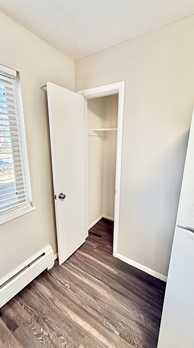 Bright and inviting closet space with sleek hardwood flooring and ample natural light.