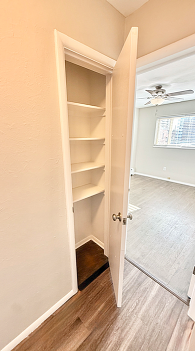 Charming apartment with an open closet space and a bright room featuring elegant flooring and a ceiling fan.