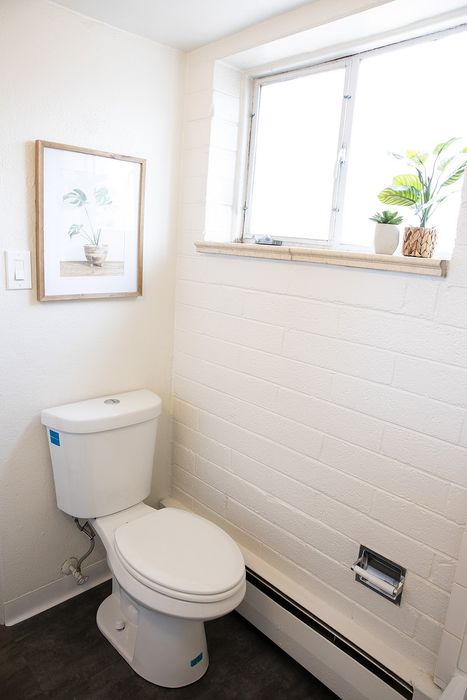Bright and inviting bathroom featuring a modern toilet, stylish decor, and abundant natural light through a large window with plants.