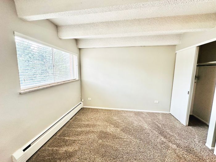 Bright bedroom with a large window, plush carpet, and white walls featuring a built-in closet.