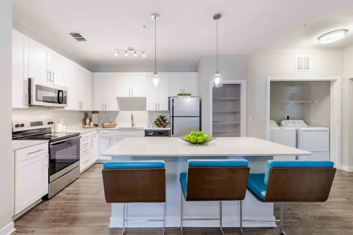 Stainless Steel Appliances