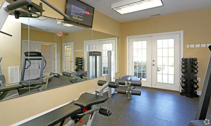 Well-equipped gym with modern exercise machines and free weights in a bright environment.