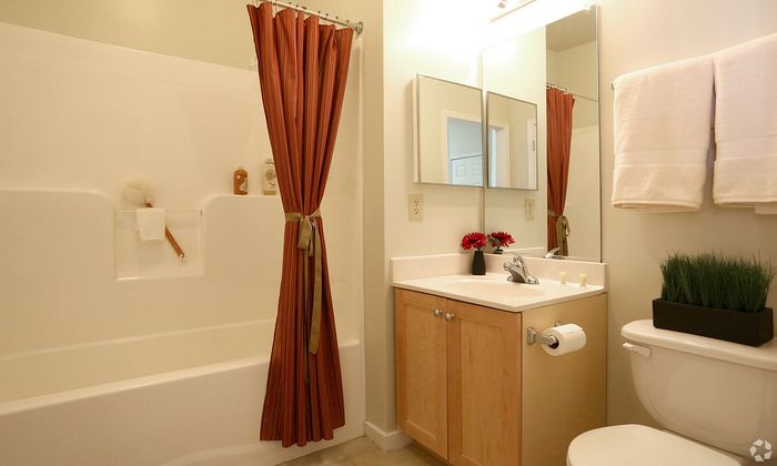 Elegant bathroom featuring a modern bathtub, sleek vanity, and warm decor.