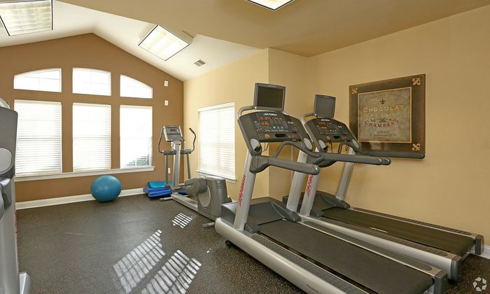 Inviting gym space featuring two treadmills, an elliptical, and a yoga ball with natural light streaming in through large windows.