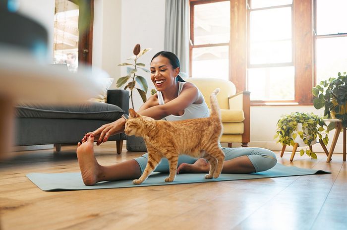Bright living room with a person doing yoga, a cat, and lush green plants, evoking tranquility.