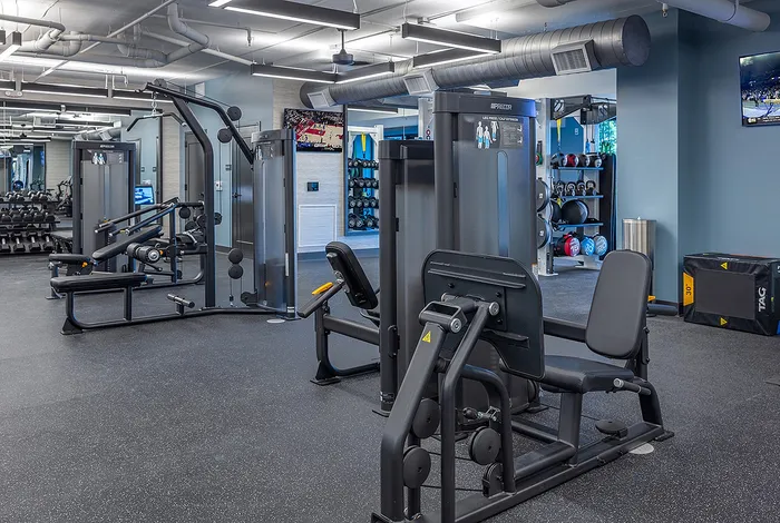 Modern fitness center with state-of-the-art gym equipment and vibrant design, perfect for active living.