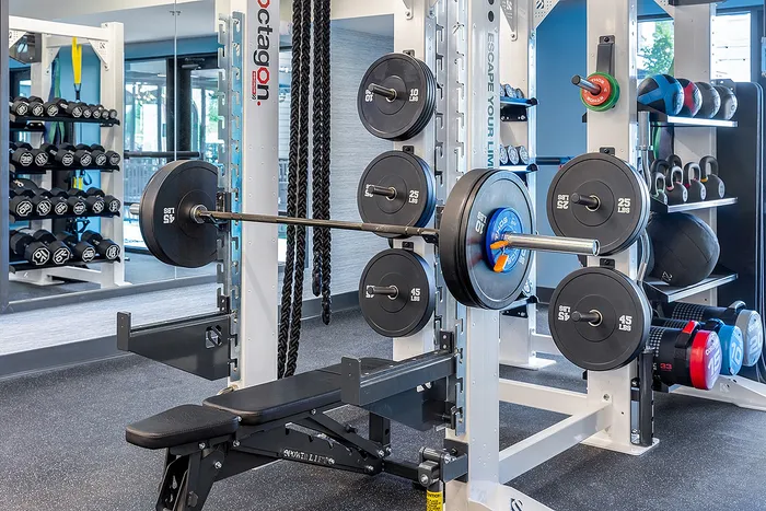 Modern gym facility with advanced weightlifting equipment, featuring a versatile squat rack and organized dumbbell set for an optimal workout experience.