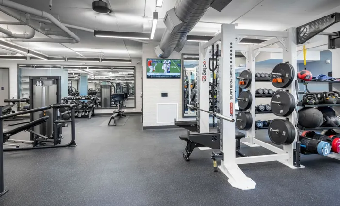 Modern fitness center equipped with state-of-the-art gym equipment, perfect for a comprehensive workout experience.