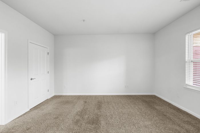 Bright and spacious empty room with plush carpet and ample natural light through the window, perfect for customization.
