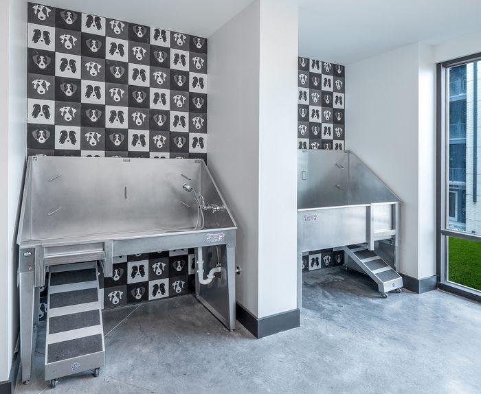 Modern pet grooming area with stylish dog-print tile backdrop and stainless steel wash stations in a bright, spacious setting.