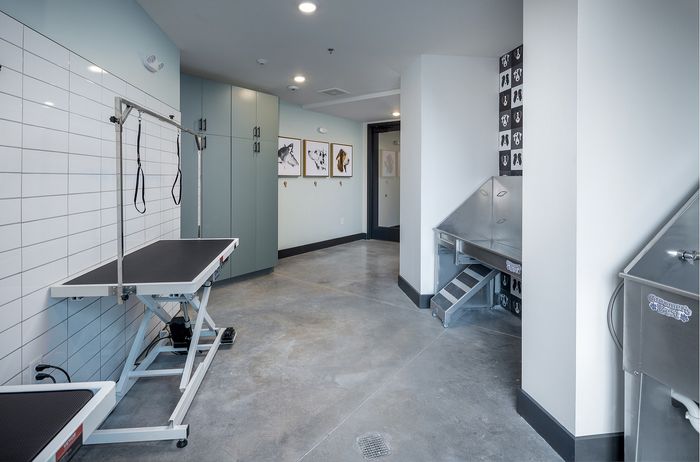 Modern pet grooming station featuring sleek grooming table, stainless steel wash area, and stylish wall art in a spacious, well-lit room.