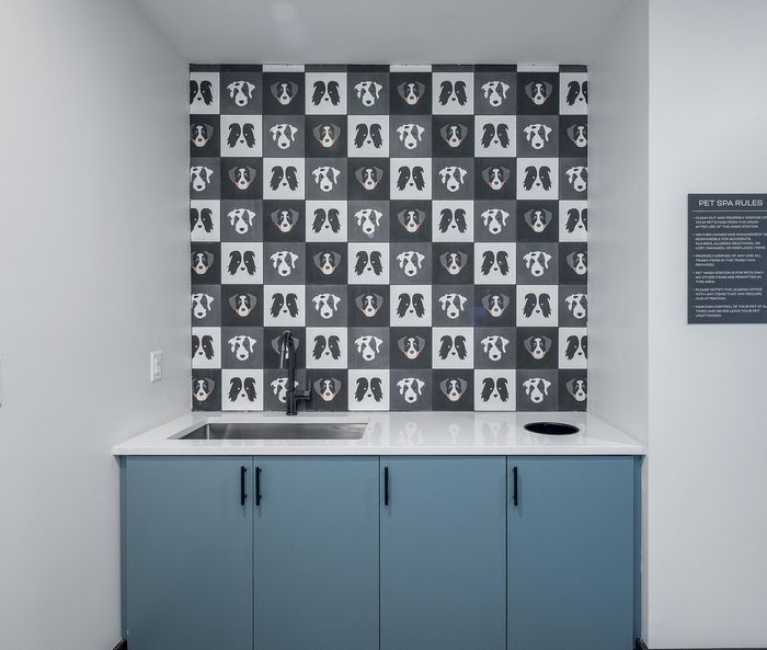 Modern pet spa corner featuring a stylish backsplash with playful dog graphics and sleek blue cabinetry.