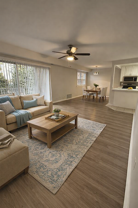 Natural Lit Living Areas
