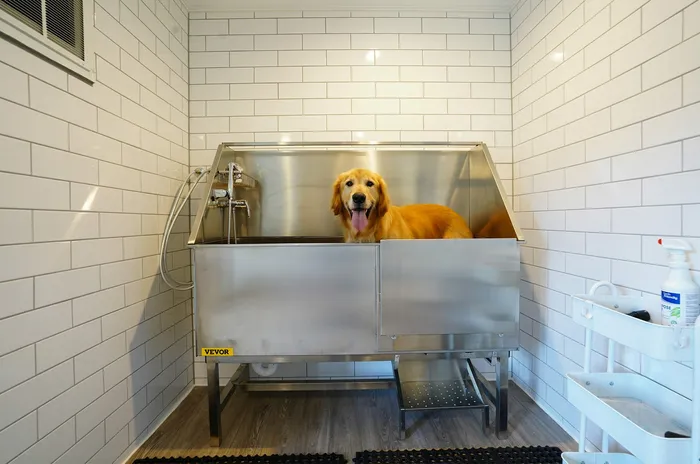 Modern pet wash station with a happy golden retriever in a sleek stainless steel setup and tiled walls.