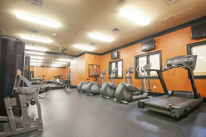 Modern fitness center boasting state-of-the-art equipment, featuring treadmills, elliptical machines, and strength training gear in a vibrant setting.
