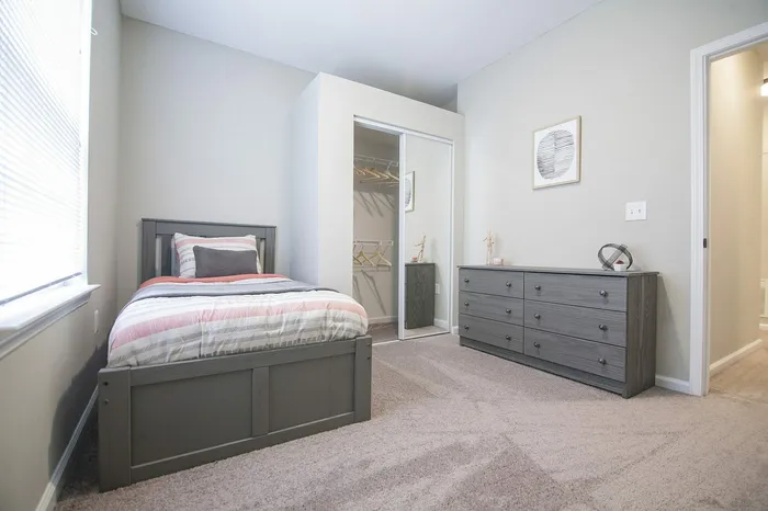 Cozy bedroom with modern gray furniture, plush carpet, and a stylishly designed closet.