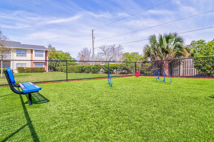 Dog Park