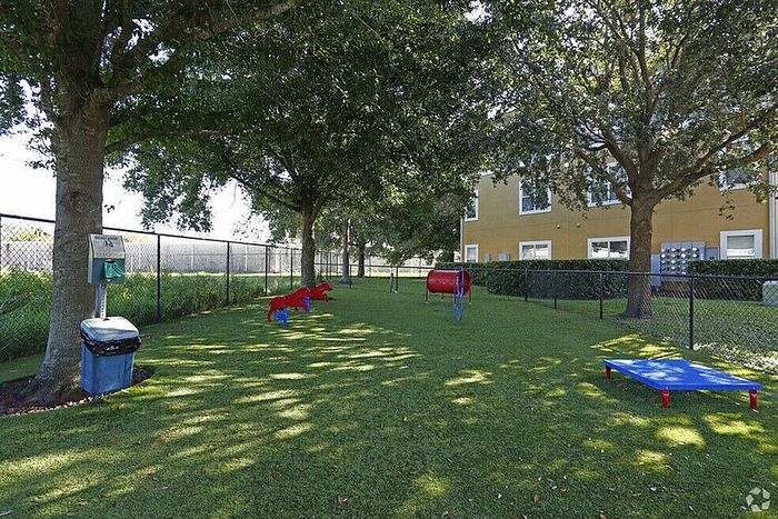 Dog Park