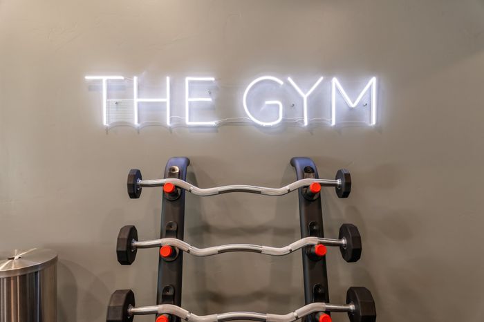 Modern gym space featuring illuminated neon 'The Gym' sign above a sleek weight rack, promising a stylish workout environment.