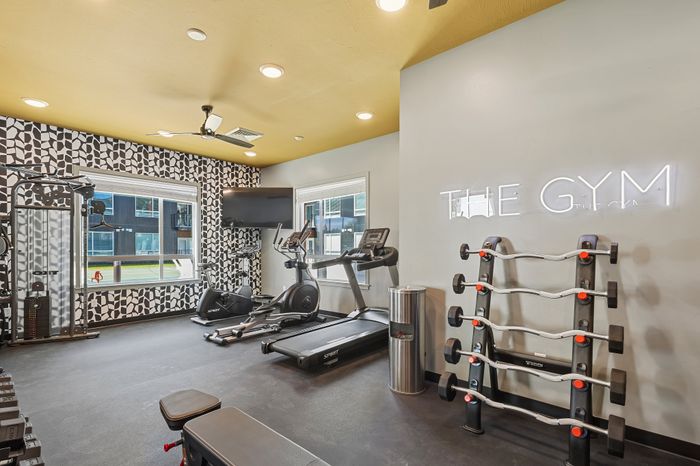 Modern gym with state-of-the-art equipment, featuring treadmills, weights, and stylish decor, perfect for a fitness lifestyle.