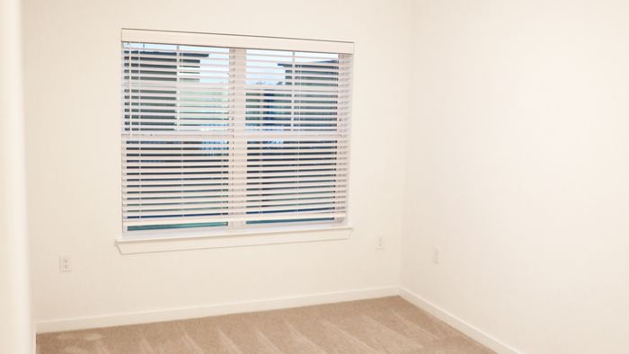Carpeted bedroom with a large window, white blinds, and a ceiling fan