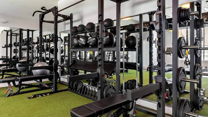 Interior view of a gym showing professional power racks for squatting and weightlifting, holding barbells and medicine balls over green artificial turf flooring.