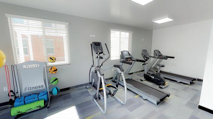 Work Out Equipment