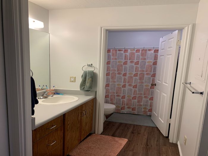 Chic bathroom featuring a wood-accented vanity and a stylish shower curtain.