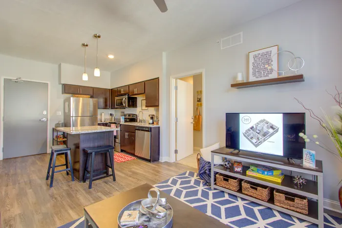 345 Flats apartment living room