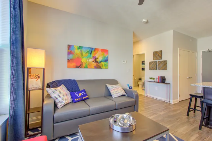 345 Flats apartment living room