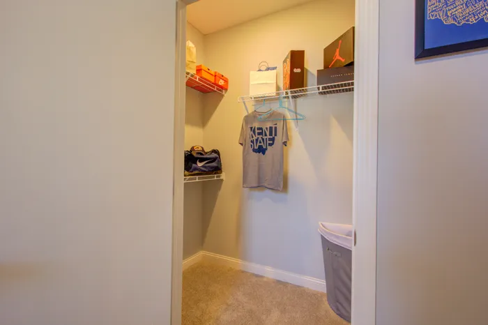 345 Flats apartment closet