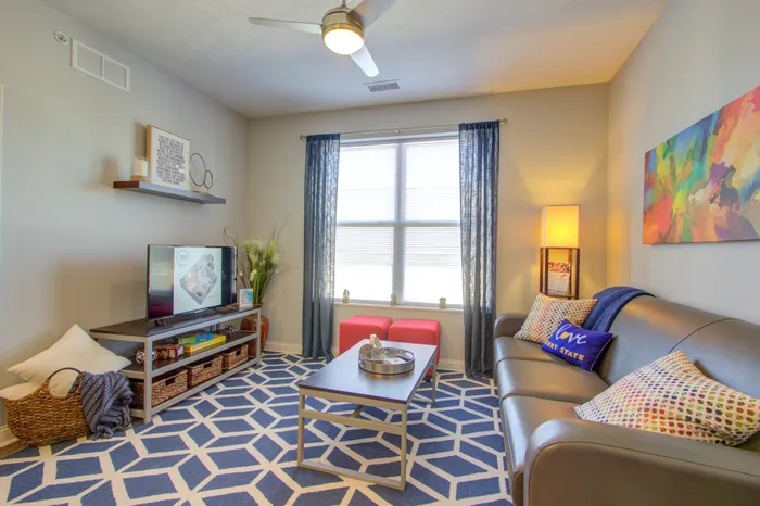345 Flats apartment living room