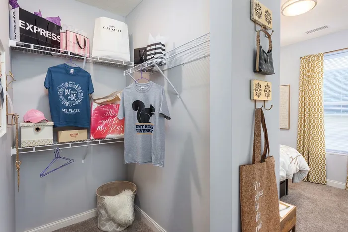 345 Flats apartment bedroom closet