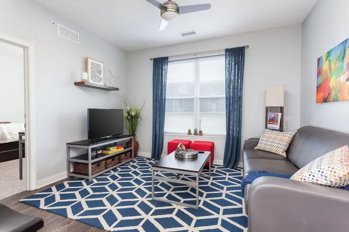345 Flats apartment living room