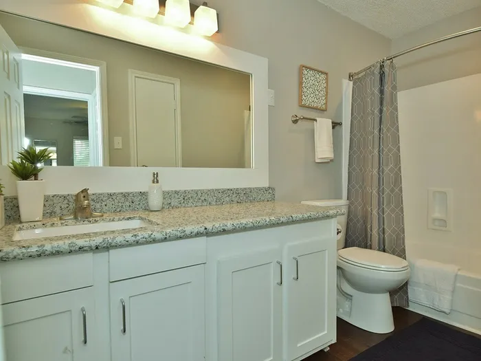 Oakbrook apartment bathroom