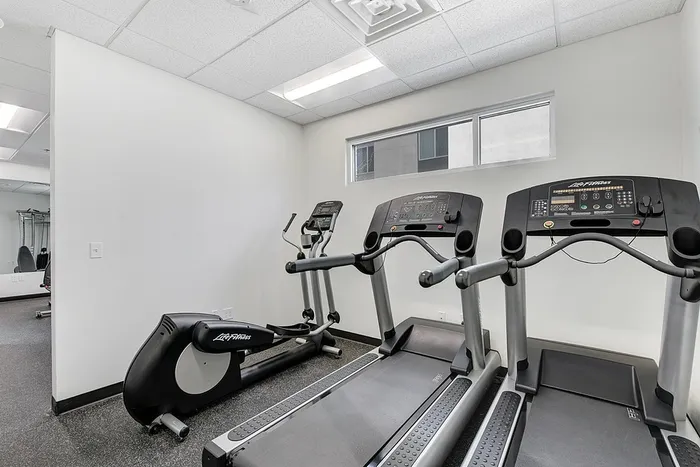 Modern fitness room with state-of-the-art treadmills and exercise equipment, perfect for an active lifestyle.