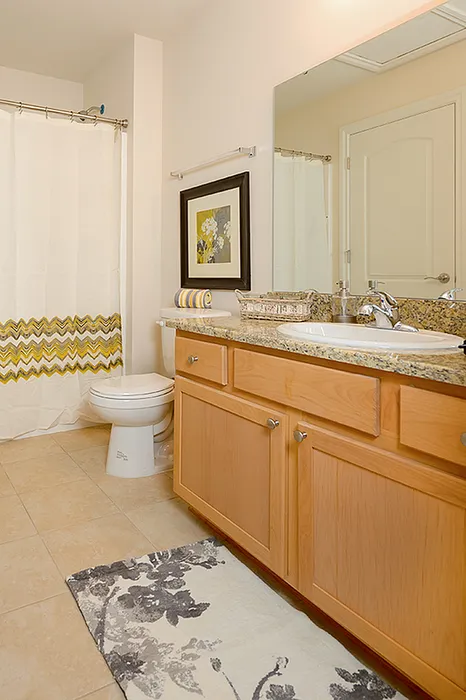Bright and inviting bathroom with elegant granite countertop, stylish wooden cabinetry, and modern fixtures, enhanced by a chic shower curtain and decorative rug.