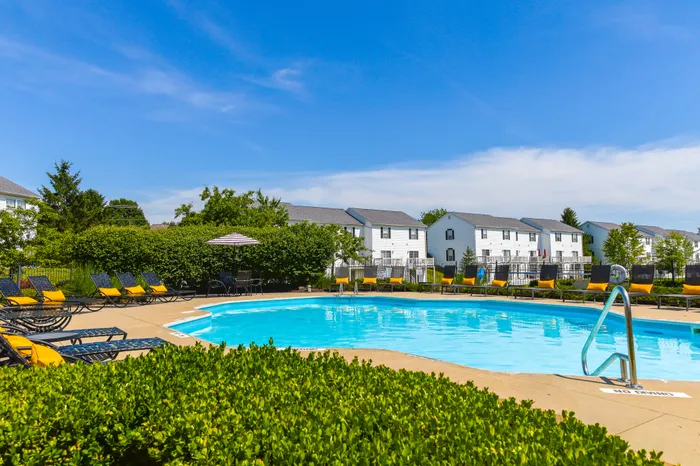 Inviting community pool surrounded by lush greenery and stylish lounge chairs under a bright blue sky, offering a perfect place to relax and enjoy the sun.