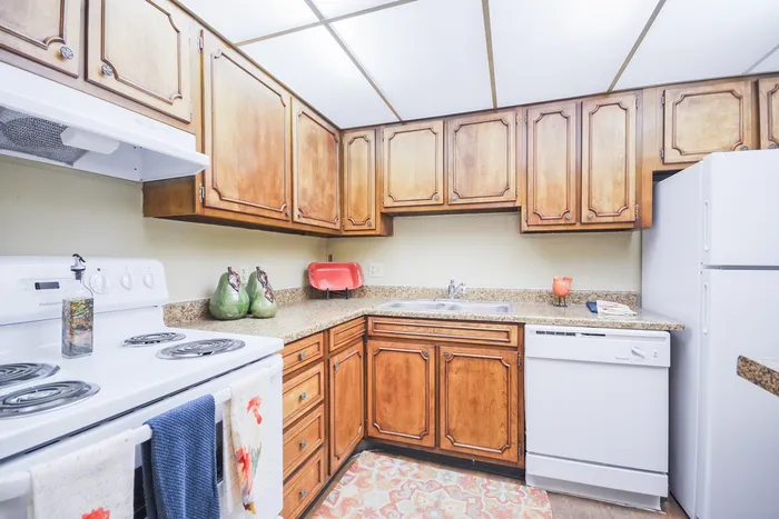 Spacious kitchen with bright lighting and ample storage.