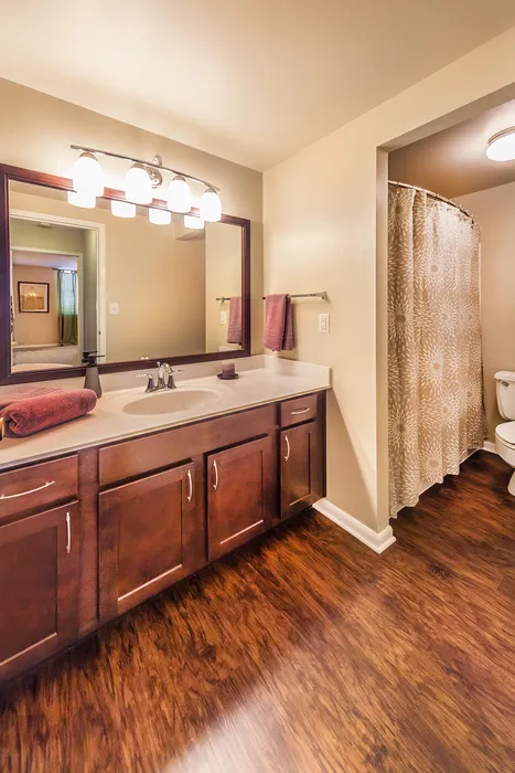 Luxurious bathroom featuring elegant wooden cabinets, modern lighting, and a stylish shower curtain set against rich wood flooring.