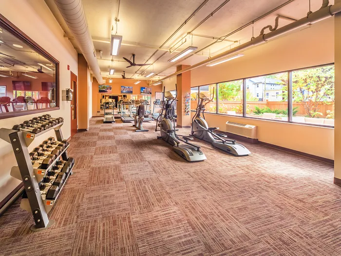 Bright and spacious fitness center with modern cardio machines, weight racks, and large windows offering a refreshing outdoor view.