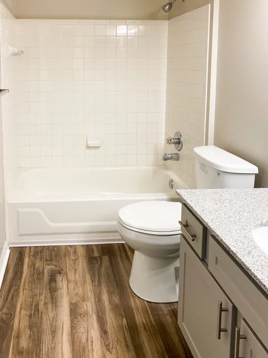 Modern bathroom boasting sleek fixtures, a granite countertop, and elegant wood-style flooring.