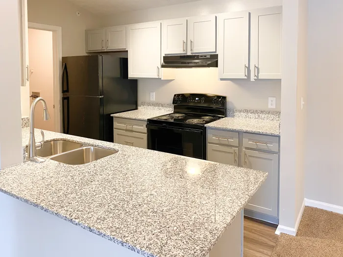 Modern kitchen with sleek granite countertops, stainless steel fixtures, and chic cabinetry.