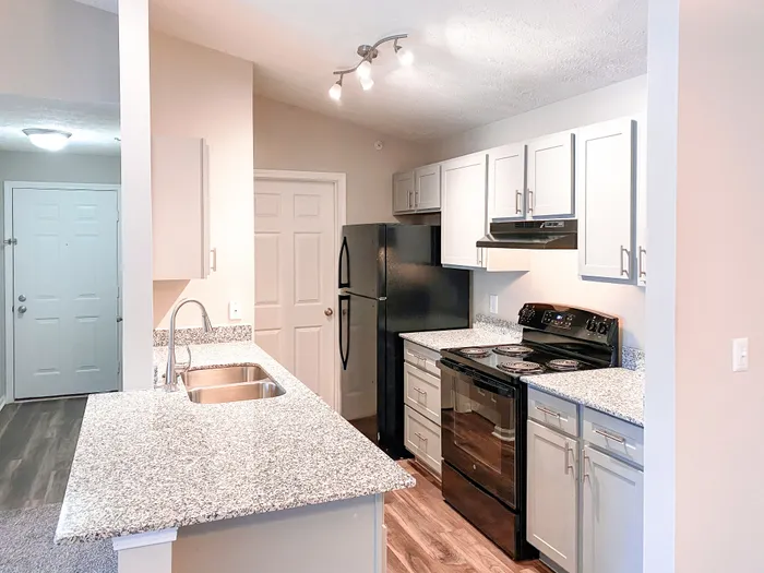 Modern kitchen design with sleek granite countertops, stainless steel sink, and contemporary lighting, perfect for stylish living.