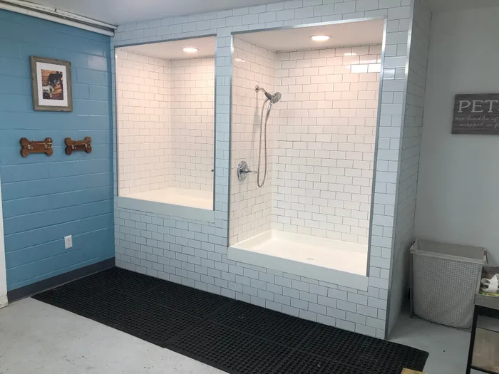 Pet Spa with modern tiled shower area, charming decor, and blue accents.