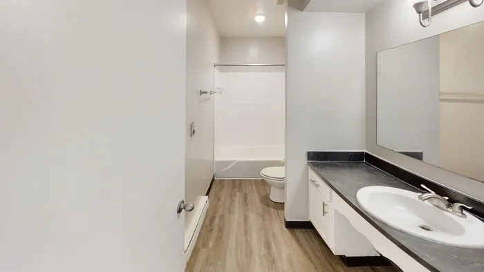 Modern and inviting bathroom featuring a sleek vanity, large mirror, and elegant wood-style flooring.
