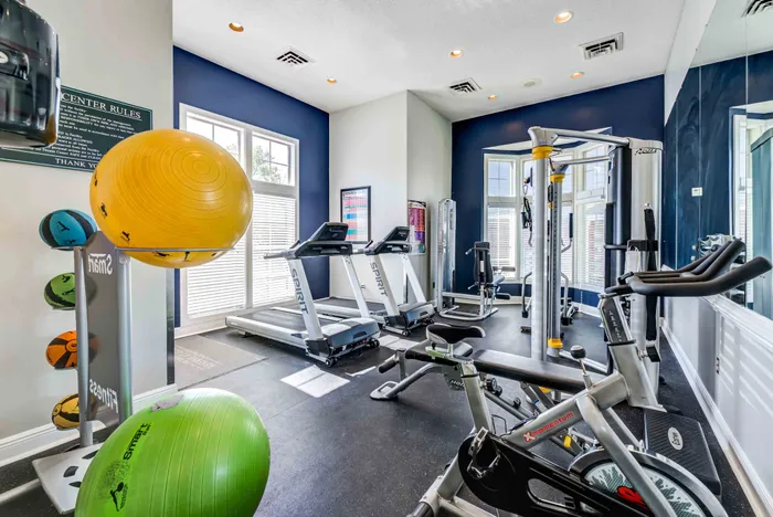 Modern fitness center featuring state-of-the-art treadmills, stationary bike, multi-function weight machine, and exercise balls in a well-lit, spacious room with large windows.