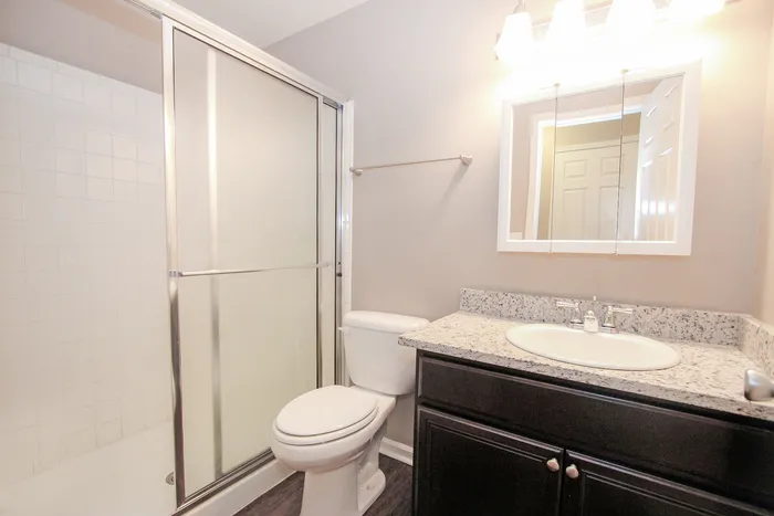 Modern bathroom with a sleek glass shower, granite vanity top, and elegant lighting.