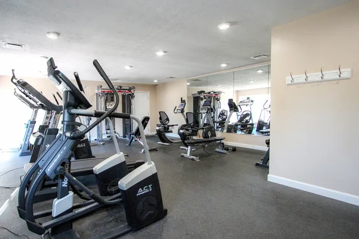 Modern fitness center equipped with state-of-the-art cardio machines and strength training equipment, featuring large mirrors and ample natural light.